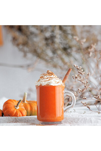 LAV Island 6-Piece Mug