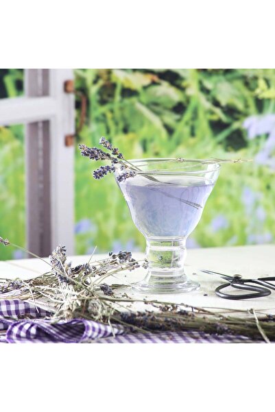 LAV Orion Glass Ice Cream & Dessert Bowl Set of 6 Small Size 255 ml (Jam Bowl)