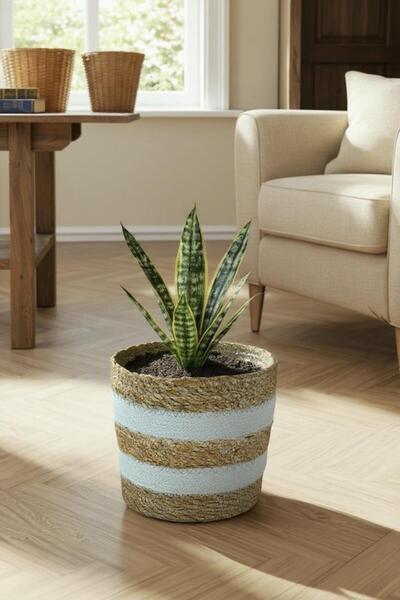 Bliss 15cm Dekoratif Hasır İçi Jelatinli Saksı Krem Küçük Boy Çok Amaçlı Hasır Sepet, Ev Bahçe Düzenleyici