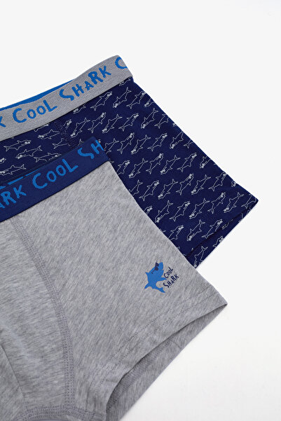 Penti Mehrfarbige 2er-Pack-Boxershorts für Jungen von Cool Shark