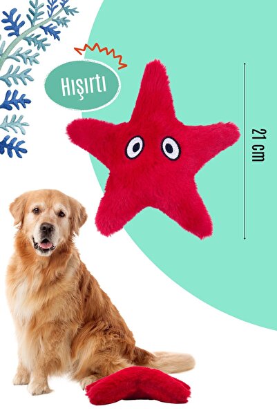 Havhav Fotoğraf Makinesi Temalı Peluş Köpek Oyuncağı Ses Çıkaran Köpek Çekiştirme Oyuncağı