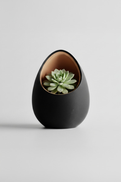 OEM Decorative egg-shaped pot, Midnight Onyx & Champagne Gold color