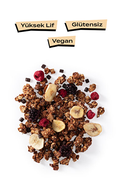 THE GOOD WİLD Kids Granola | Glutensiz Atıştırmalık | Yulaf Ezmesi | Kurutulmuş Meyve | Vegan | 250 Gr