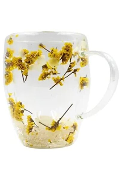 OEM Double Walled Glass Cup Flowers