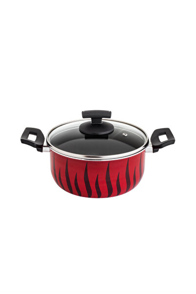 Newflon Tango pot with Lid size 20 cm