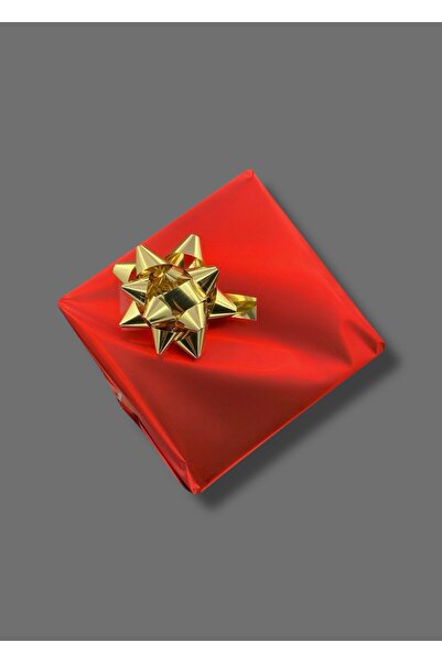 Belmond Original 3 Atm Waterproof Steel Cord Women's Wristwatch