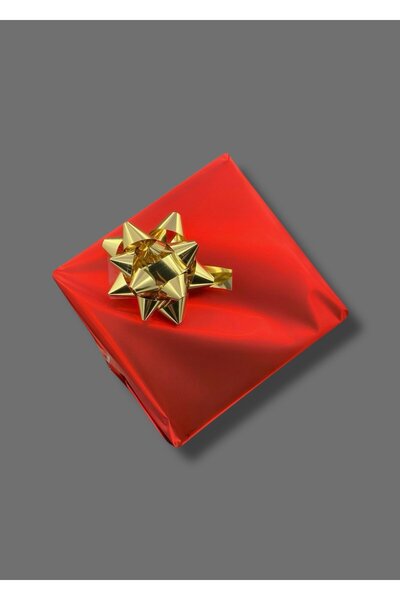 Belmond Original 3 Atm Waterproof Steel Cord Women's Wristwatch