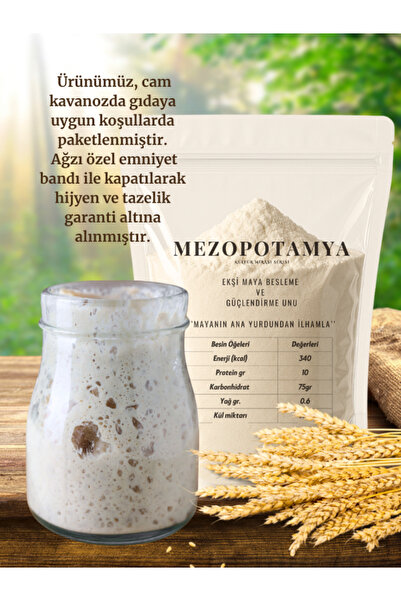 Sevinçli Doğa Ekşi Maya 100gr(41 YILLIK) Ekşi Maya Güçlendirme Unu Hediyedir!!Cam Kavanozda Gönderilir!