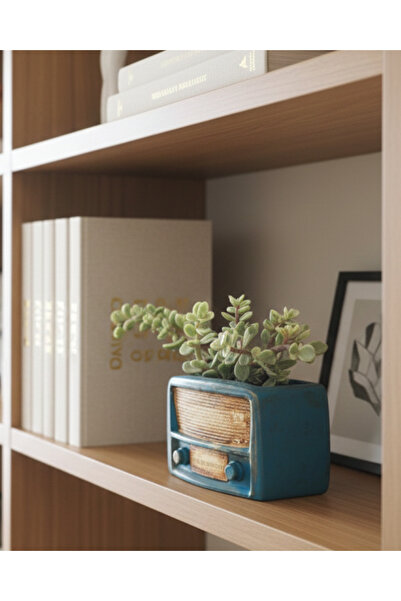 Artepieza co. Artepieza Retro Radyo Sukulent Saksısı ve Kalemlik - Masaüstü D...