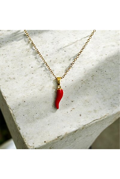HOUSEKİ Steel Pepper Necklace Silver Color