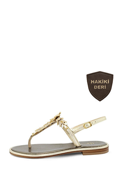 Vario 748 Platino (Gold)