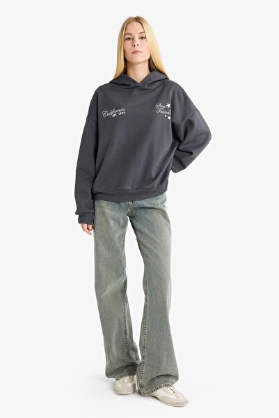 DeFacto Coool Overshirt Fit Kapuzen-Sweatshirt mit Aufdruck, dick, G0180AX25WN