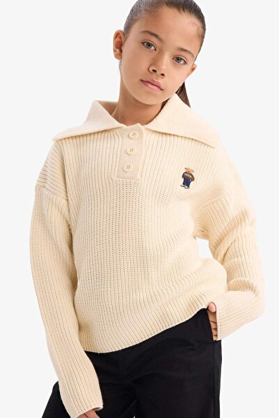 DeFacto Girl's Polo Neck Embroidered Knitwear Sweater G3060A825Au