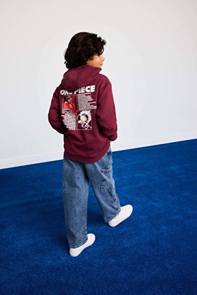 DeFacto Boy's One Piece Hooded Sweatshirt with Soft Fleece Inside and Back Print F9917A825Wn
