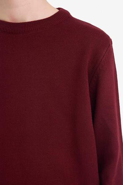 DeFacto Crew Neck Knitwear Claret Red Boys' Sweater A4992A8/Br194