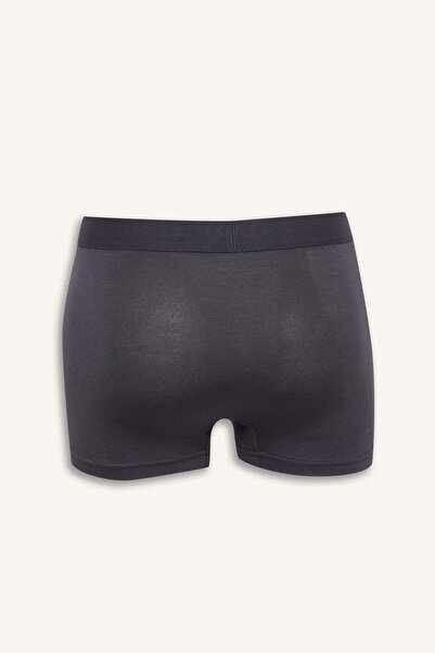 DeFacto Premium κανονική εφαρμογή Modal Boxer Z7165AZ25SM