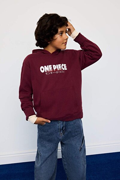 DeFacto Boy's One Piece Hooded Sweatshirt with Soft Fleece Inside and Back Print F9917A825Wn