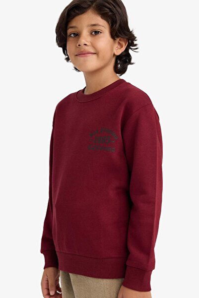 DeFacto Момчешка велосипедна блуза с качулка, изработена от мек флис, E9595A8...