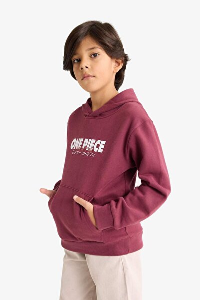 DeFacto Boy's One Piece Hooded Sweatshirt with Soft Fleece Inside and Back Print F9917A825Wn