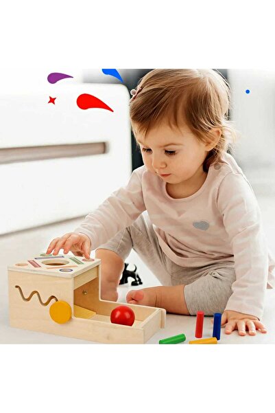 Micostore Montessori educational game 4 in 1 Perm Box, skill and sorting, multicolor