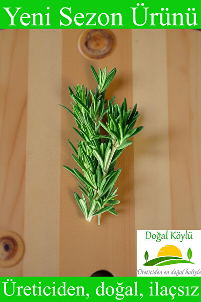 Doğal Köylü Taze Biberiye 50gr - Üreticiden, Doğal, İlaçsız