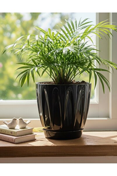 esm vase PARLAK PLASTİK DALGA MODEL EV BAHÇE OFİS SAKSISI 14X14