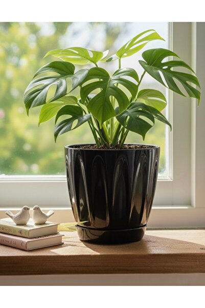 esm vase PARLAK PLASTİK DALGA MODEL EV BAHÇE OFİS SAKSISI 17X17