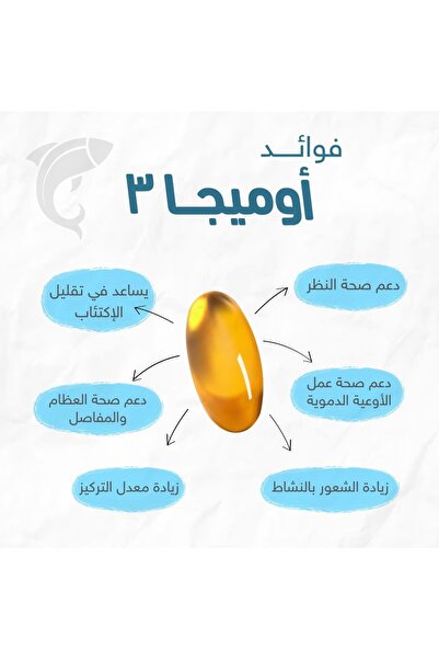 Holista Omega-3 High - 1425 mg Fish Oil - 80 Softgel Capsules