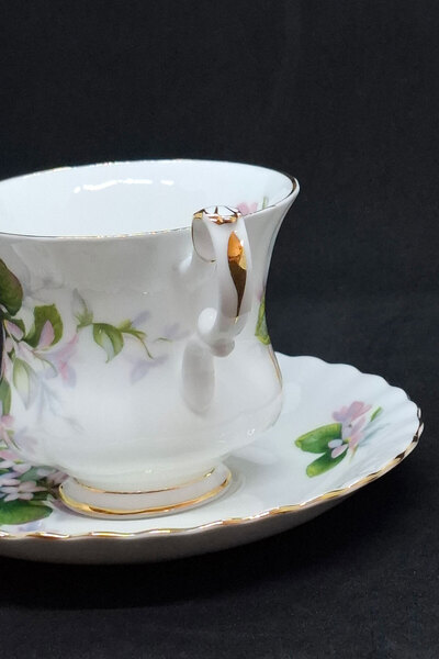 Royal Albert Bone China England Mayflower Vintage Double Boy Coffee Cup and Saucer 120 ml