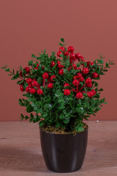 YAPAY ÇİÇEKÇİNİZ Siyah Saksıda Yapay Kokina Ağacı