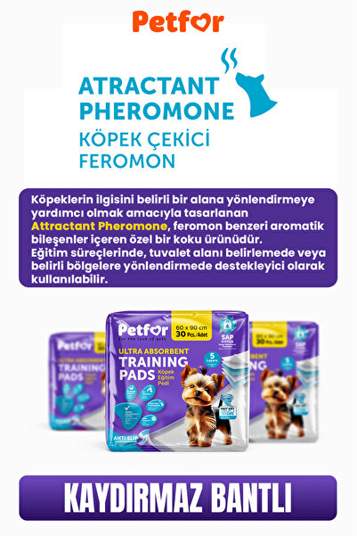 Petfor Köpek Eğitim Pedi 60x90 Kaydırmaz Bantlı 60 Adetli