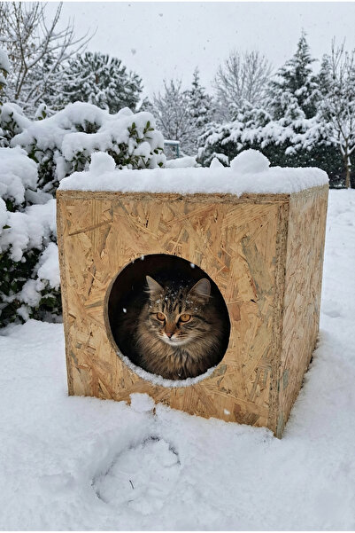 Severale Dış Mekan Yağmura Ve Soğuğa Dayanıklı Osb Kedi Evi Yuvası Sokak Dost...
