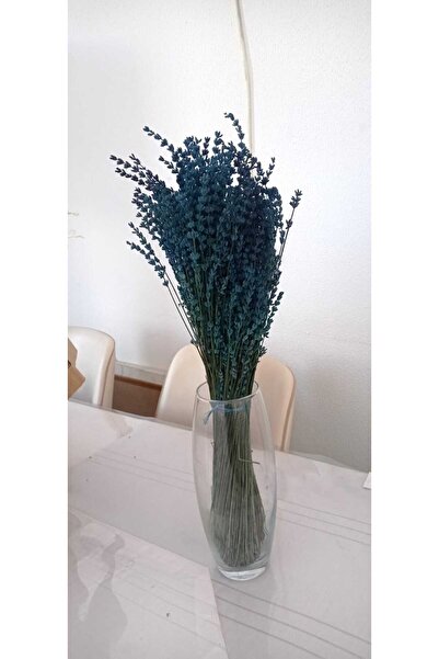 Birlik Lavanta Çiçeği Turkuaz Şoklu