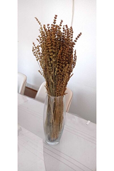 Birlik Lavanta Çiçeği Sarı Şoklanmış