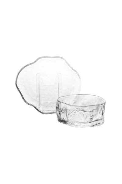 casa rosa 12-piece glass dessert serving set