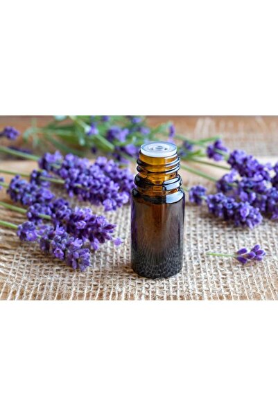 SOLARIS Ulei esențial de lavandă (Lavandula angustifolia), 10 ml, plantă