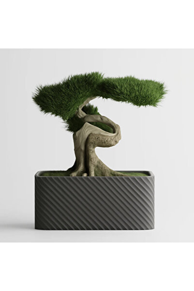 Homentum Seron | Rectangular decorative pot with fine texture 8cm