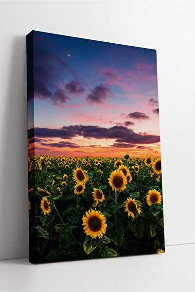 KOSS Dijital Pictură artistică decorativă pe pânză, cu tematică naturală mode...