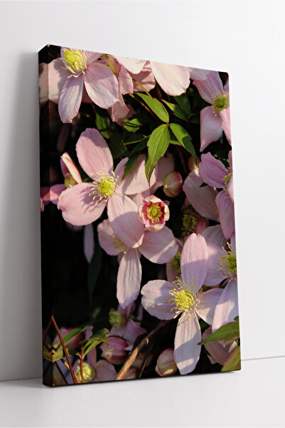 KOSS Dijital Tablou decorativ pe pânză cu aspect floral natural, cu flori de ...