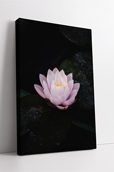 KOSS Dijital Pictură decorativă estetică pe pânză, cu flori de lotus rafinate...