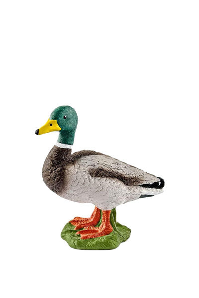 SCHLEICH Erkek Ördek Hayvan Figür Oyuncak
