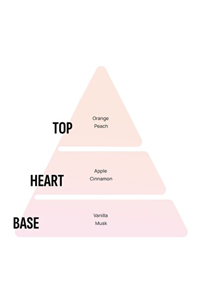 Areon Home Scented Candle Apple & Cinnamon