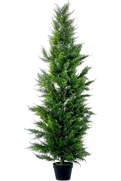 MirageBotanics 5ft Artificial Cedar Tree Outdoor Front Porch Decor in Black Planter