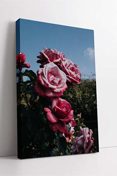 KOSS Dijital Grădina trandafirilor roz Textura estetică a florilor în tonuri ...