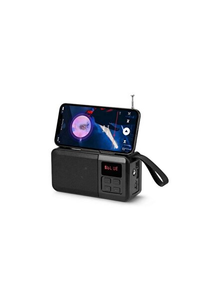 Stone Solar-Charging Portable Speaker with Bluetooth, FM, Flashlight, USB, AUX - Black