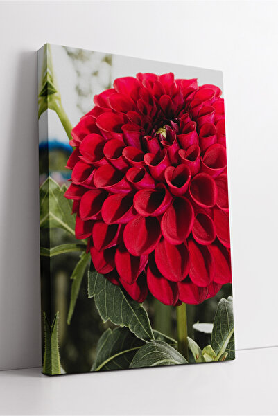 KOSS Dijital Pictură decorativă estetică pe pânză cu compoziție naturală rafi...