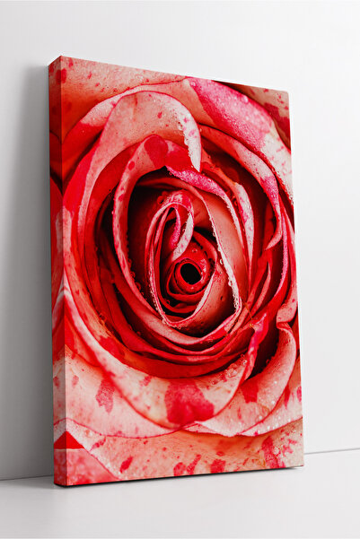 KOSS Dijital Pictură artistică în plan apropiat, cu trandafir roșu, cu temati...
