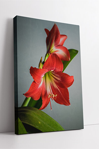 KOSS Dijital Decor de perete elegant cu tematică de flori de crin roșu, pictură pe pânză modernă, colorată, pentru casă și birou