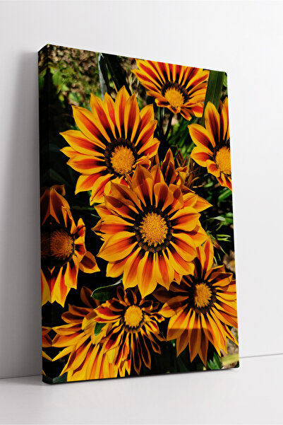 KOSS Dijital Pictură pe pânză cu artă de perete estetică decorativă modernă, ...