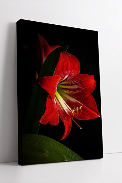 KOSS Dijital Pictură pe pânză cu design minimalist de artă cu detalii de flor...